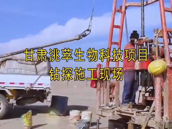 草莓视频在线观看下载